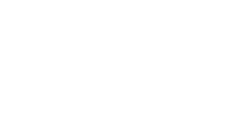 L'ELECTRICIEN DU LEMAN